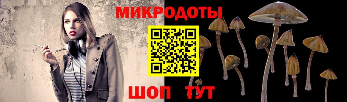 Псилоцибиновые грибы GOLDEN TEACHER Кинель
